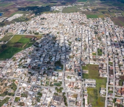 Pulsano
