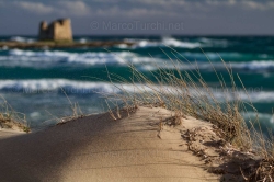 Torre Sgarrata