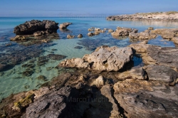Montedarena