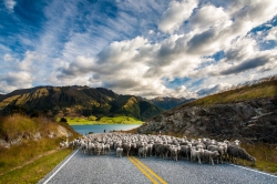 Lake Hawea,  New Zealand