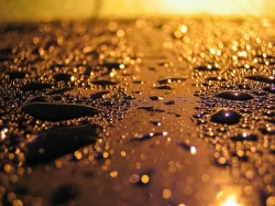 drops
