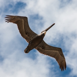 Florida, USA
